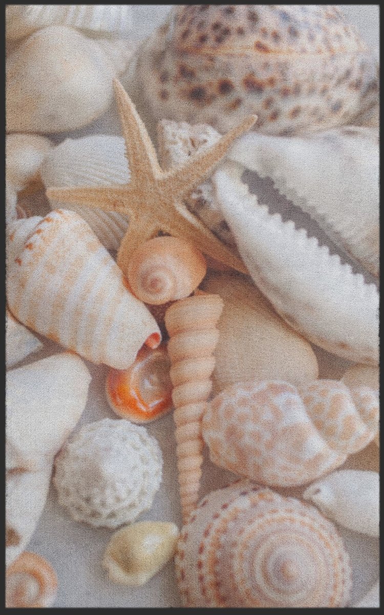Fussmatte Muscheln 7305