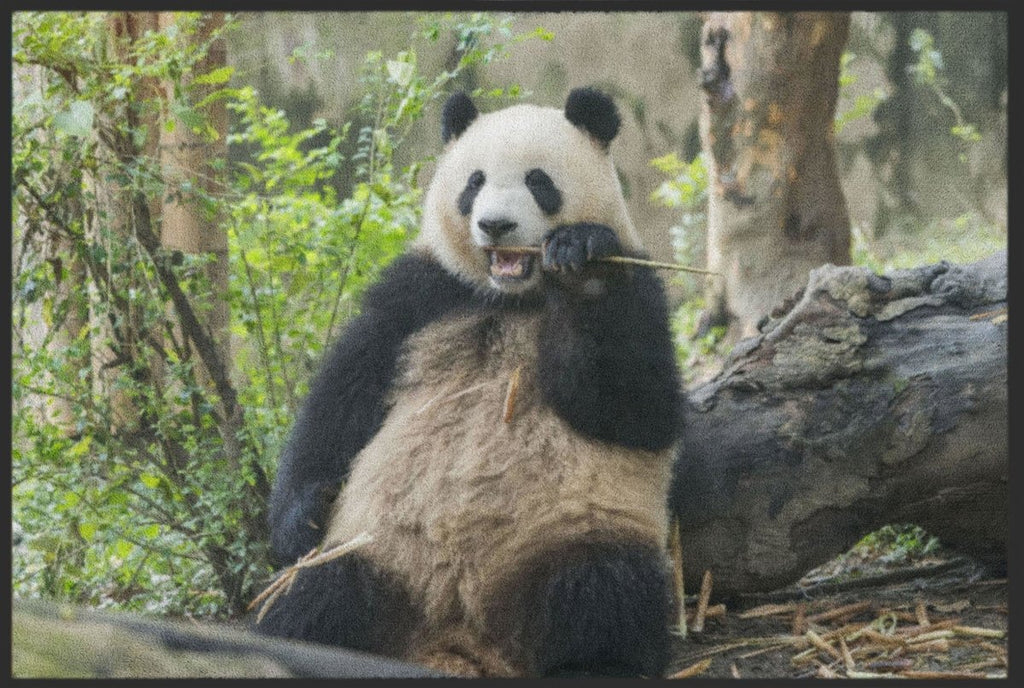 Fussmatte Pandabär 4526 - Fussmattenwelt