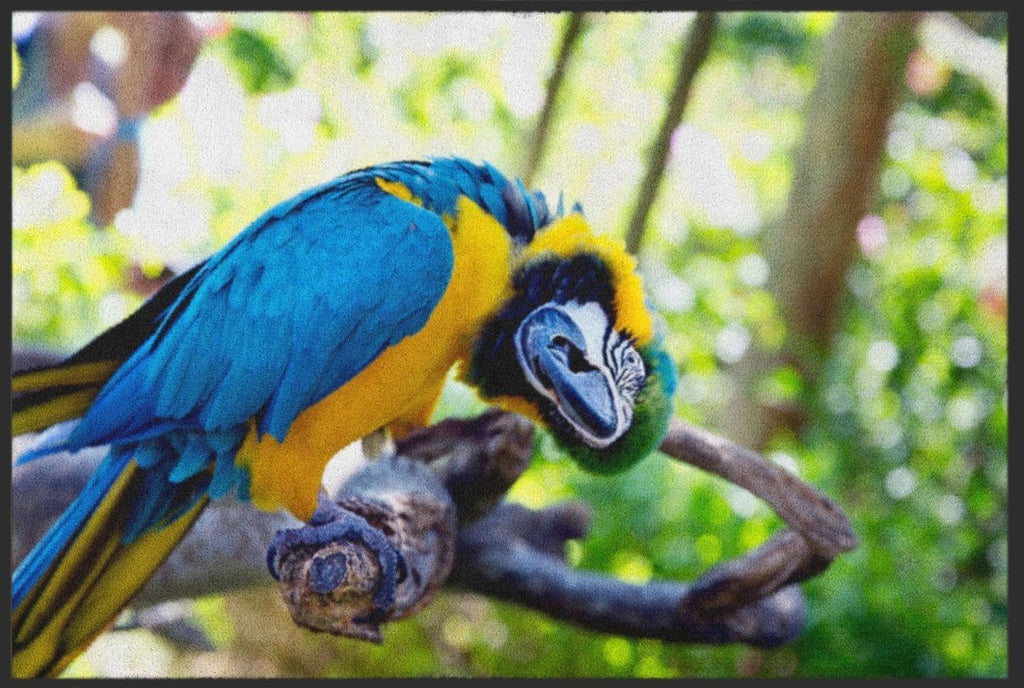 Fussmatte Papagai 4540 - Fussmattenwelt