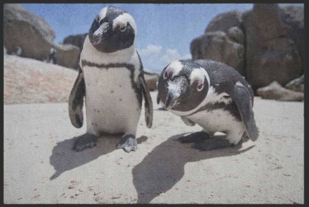 Fussmatte Pinguin 6071 - Fussmattenwelt