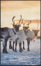 Fussmatte Rentier 7625