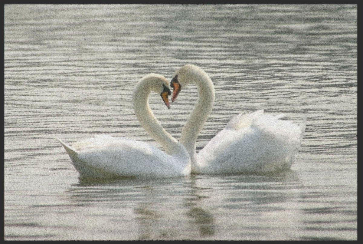 Fussmatte Schwan 4193 - Fussmattenwelt