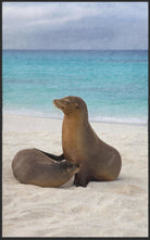 Fussmatte Seelöwe 7796