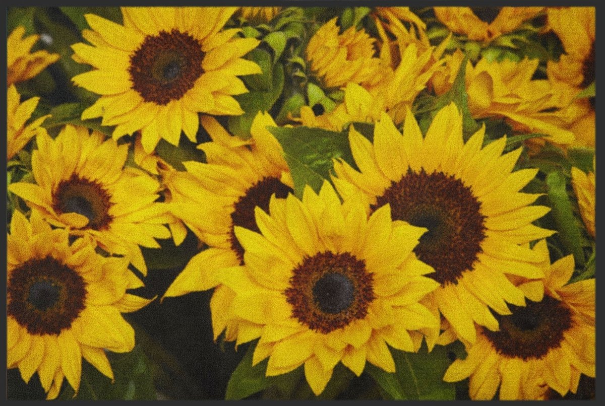 Fussmatte Sonnenblumen 4221 - Fussmattenwelt