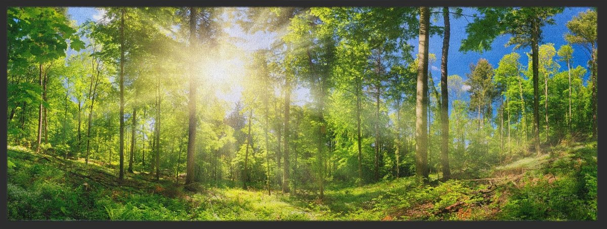 Läufer Wald 10284 - Fussmattenwelt